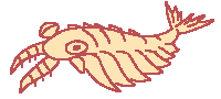 Anomalocaris button